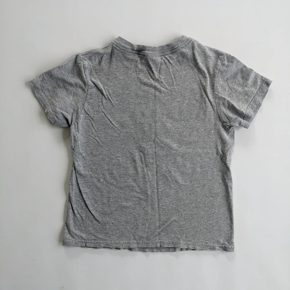 Gray Short Sleeve Tee with Dinosaur Graphics
